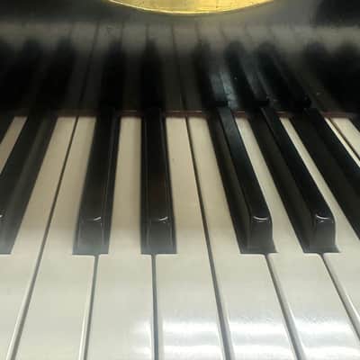 Baldwin SF-10 - 7' Semi-Concert Grand Piano image 5