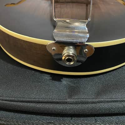 Gold Tone Manditar Mandolin F6  Satin Fast Shipping Acoustic/ Electric image 9