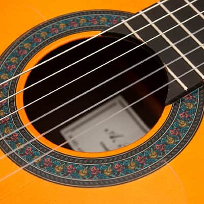 Amalio Burguet Flamenco Guitar "Negra" one piece Indian Rosewood back and sides. 2017 Flamenco Oran image 14