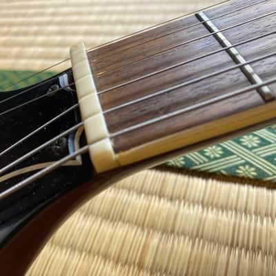Greco custom EG-480 1976 image 13