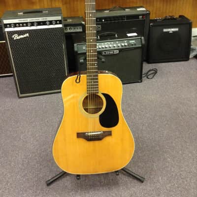 Ventura 12 String Guitar image 1