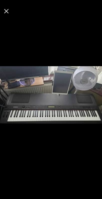 Yamaha P-250 2000s image 1