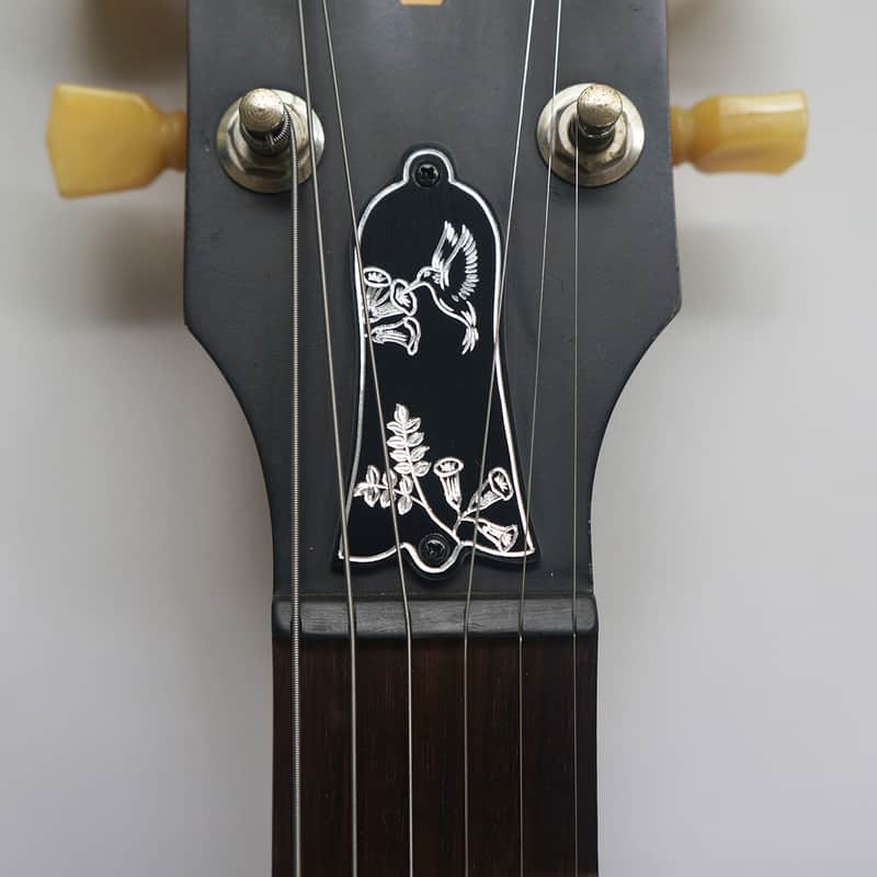 Engraved Aluminum Hummingbird Guitar Truss Rod Cover Plate image 1