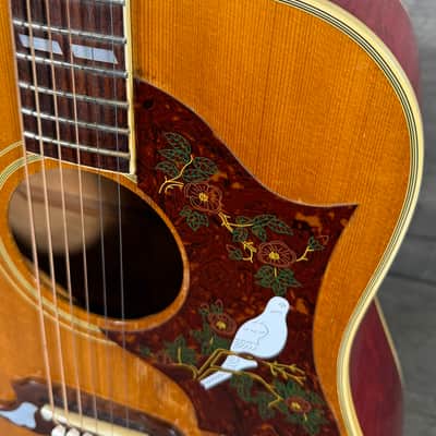 Gibson Dove 1968 - Natural image 9