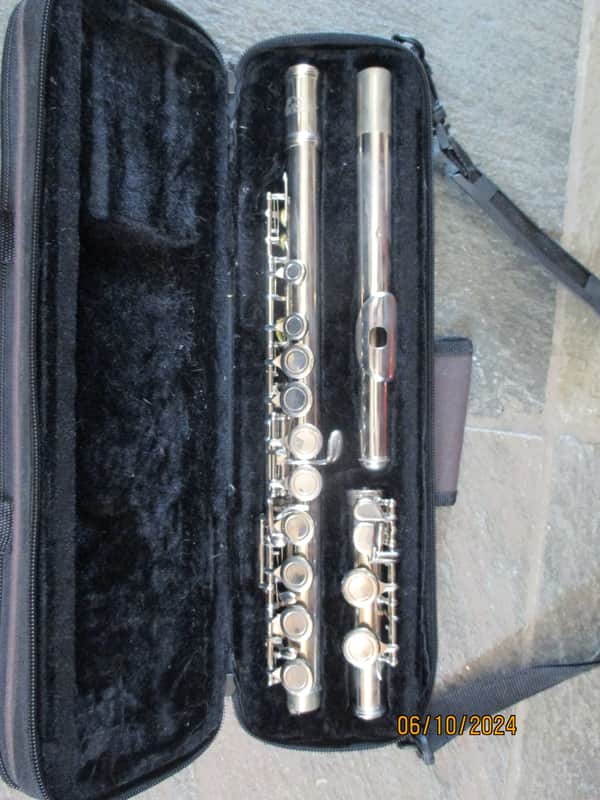 Eastar brand Closed-Hole Flute with C Foot, Offset G image 1