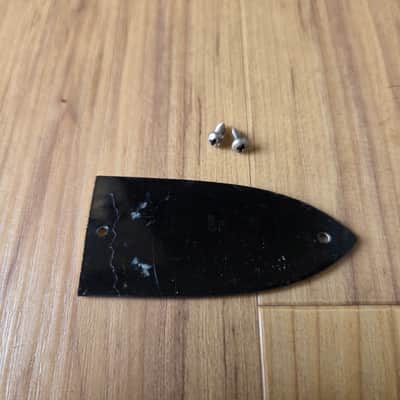 Vintage 1960's Epiphone Bass Truss Rod Cover w/ Original Mounting Screws! image 2