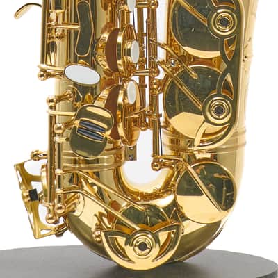 Giardinelli by Eastman GAS10 Alto Saxophone in Gold Lacquer SN 11533980 image 6