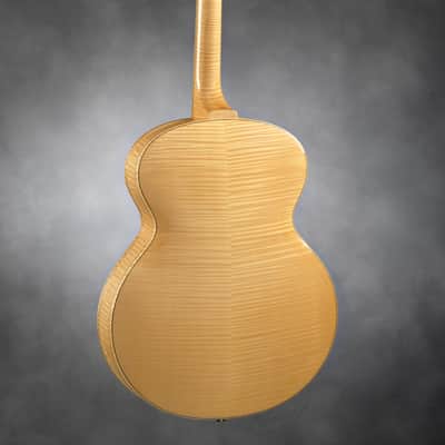 Schneider Guitars / The SoHo17 image 5