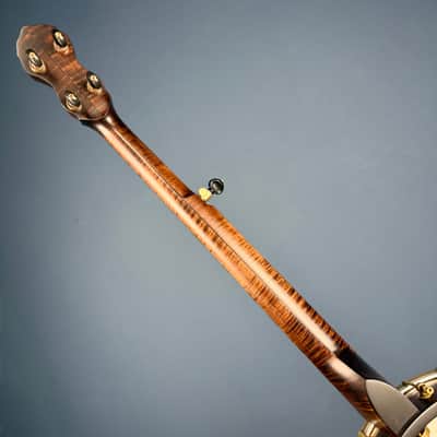 Custom Pisgah 12" Wonder 5 String Banjo with Maple armrest image 19