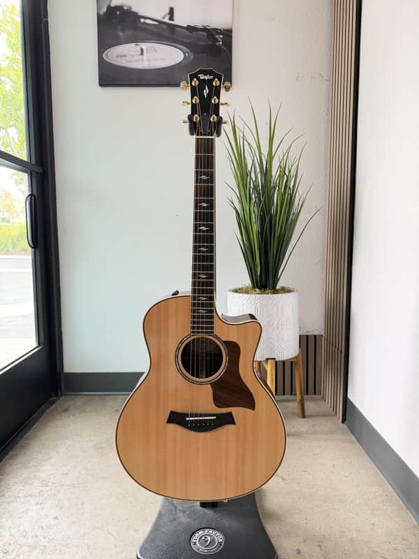 A brown and amber Taylor acoustic guitar displayed on a stand.