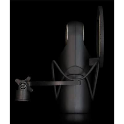 Aston Large-Diaphragm Cardioid Condenser Element Microphone Bundle image 3