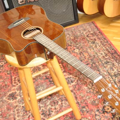 TANGLEWOOD Evolution TW28CE X OV Ovangkol / Dreadnought Cutaway Electro / BN220459074 image 3
