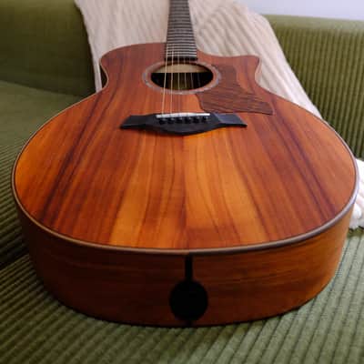 Taylor 724ce 2022 - Present - Natural image 7
