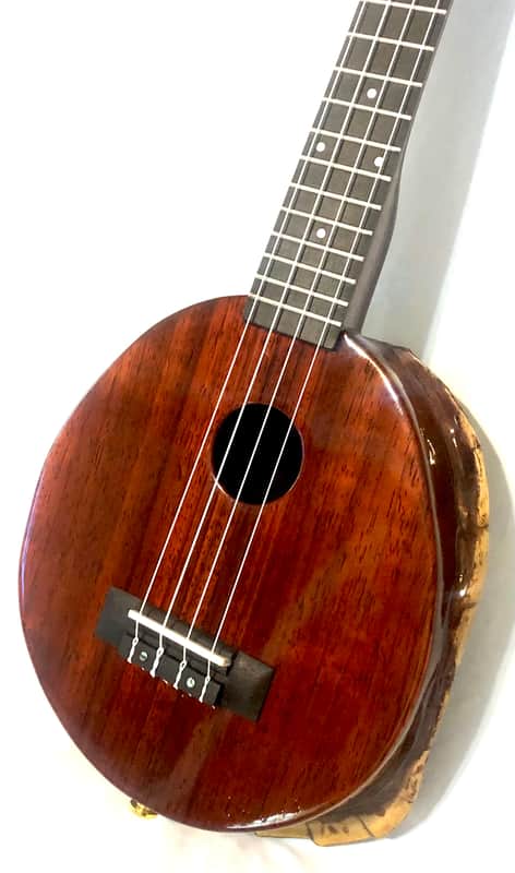 Turtle Shell Tenor Ukulele image 1