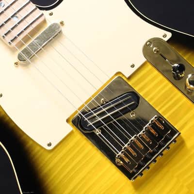 Fender Made in Japan USED ​​Richie Kotzen Telecaster (Brown Sunburst) image 4