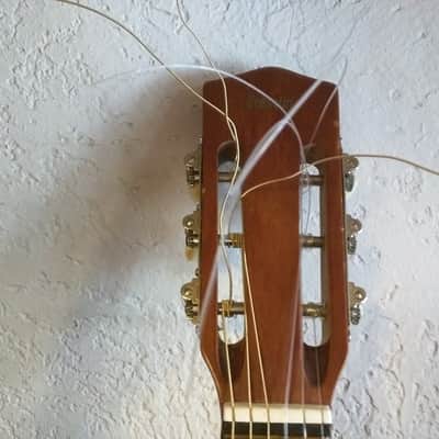 Gremlin G10S Classical Guitar (used) image 4