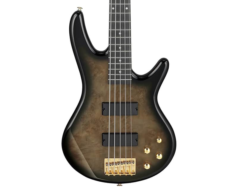 Used Ibanez GSR205PCTPB Gio SR 5-String Bass - Transparent Pale Black Burst image 1