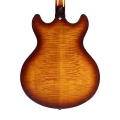 D'Angelico DAPDCDITBNS Premier DC- Dark Iced Tea Burst image 2