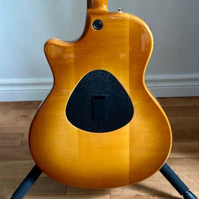 Taylor T5 image 13