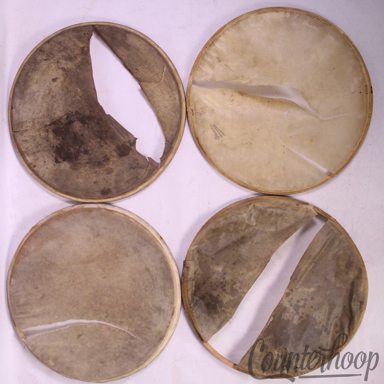 Ludwig 4x 13" Calf Skin Drum Heads Maple Flesh Hoops Batter/Resonant Snare/Tom* — main photograph
