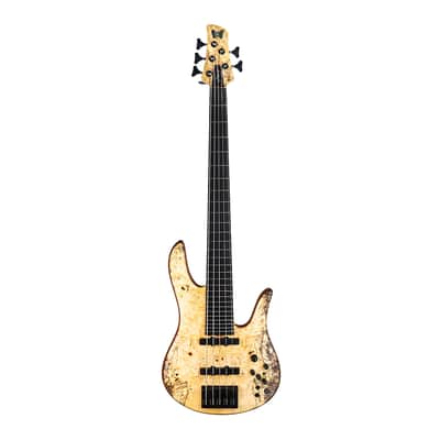 Fodera Monarch Custom