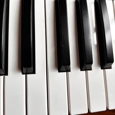 Korg Prologue 8 Polyphonic 49-Key 8-Voice Analog Synthesizer 2018 - Present - Black/Wood Plus Flight Case image 7