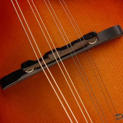 2014 Condino A style Mandolin, Brazilian Rosewood/Adirondack Spruce image 15
