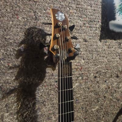Ramsay:RMI, (only 2 ever made) Vincent Bertolani Sonota Six, signature model 6 string bass image 4