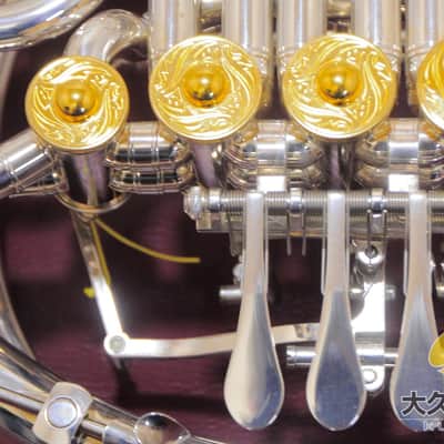 YAMAHA YHR-87DBS 120th Anniversary Full Double Horn image 3