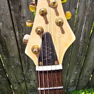 J.W. Van Custom Guitar image 2