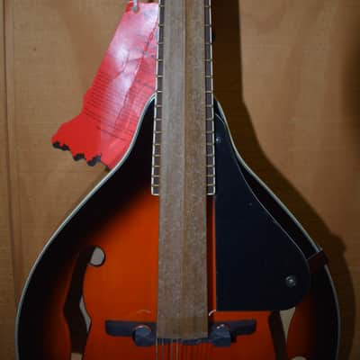 Indiana Mandolin 2000's - Sunburst image 5