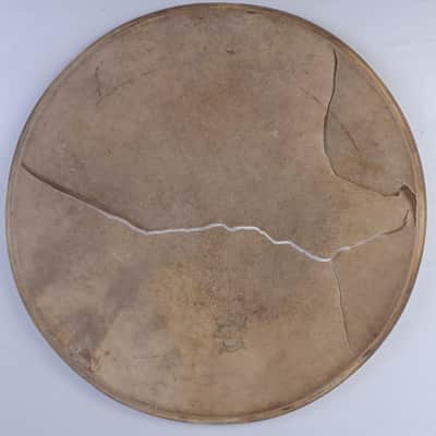 Geo Way 14" Calf Skin Snare Drum Batter Head Vintage 50s USA Tom George/Camco* image 2