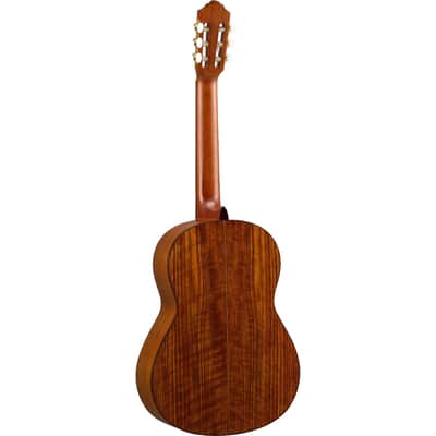 Yamaha Transacoustic Nylon String Cg Guitar image 4