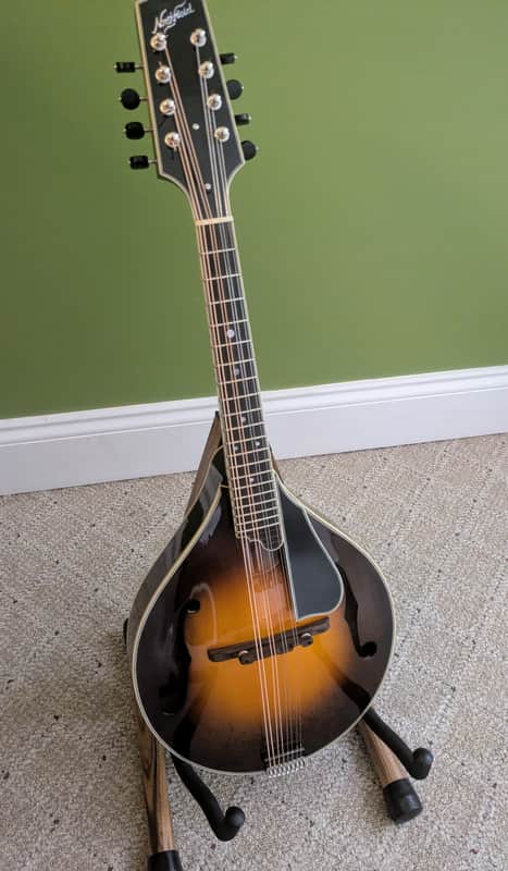 Northfield Mandolin NFMSP A5 2024 image 1