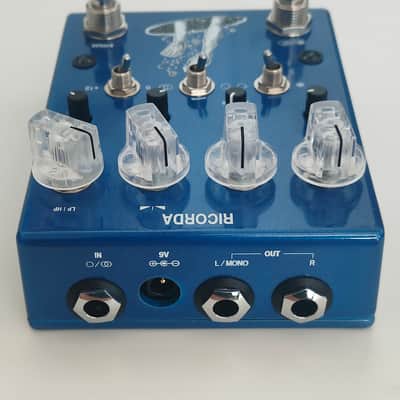 AC Noises Ricorda 2024 - Present - Blue image 5