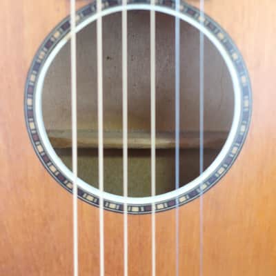 Antique Vintage 1930s Regal Parlor Guitar Project Scenic Floral Stencil Washburn Ditson Original Cloth Latch Case image 7