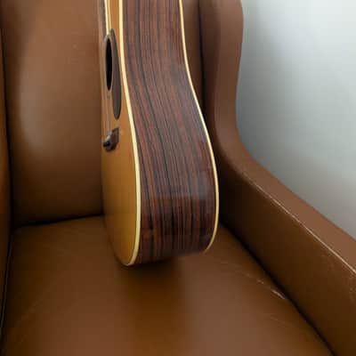1970s Dorado by Gretsch Model 5968 MIJ Dreadnought Acoustic - Project / Repair image 20