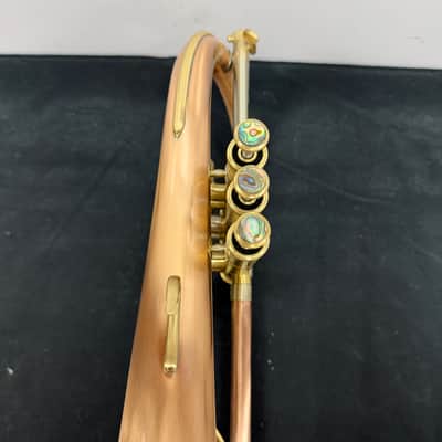 Used Blessing BFH-1541RT Performance Series Intermediate Bb Flugelhorn with Case and Mouthpiece Just Serviced image 8