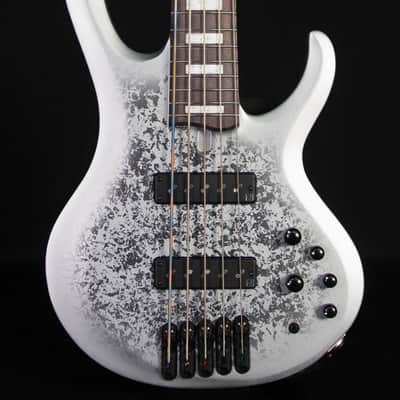 Bacchus WOODLINE-HOLLOW5 FUYUZAKURA WSE'23/E②［Made in Japan | Reverb