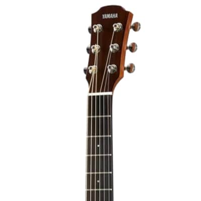 Yamaha Vintage Natural Parlor Guitar, Solid Mahogany Back And Sides, Solid Spruce Top image 6