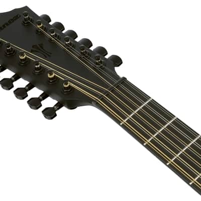 Ibanez AEG1221-BOT 12-String Electro-Acoustic Guitar, Black Out image 10