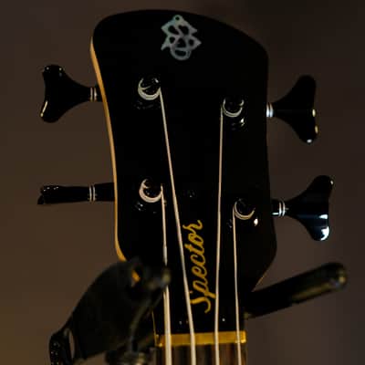 Spector Euro Series LX 2024 - Natural Sunburst image 5