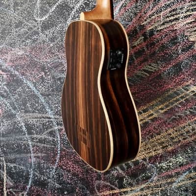 Kala Striped Ebony Fretless Acoustic-Electric U-BASS image 6