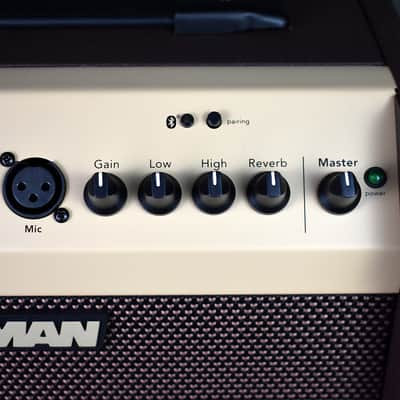 Fishman PRO-LBT-500 Loudbox Mini + Bluetooth image 10