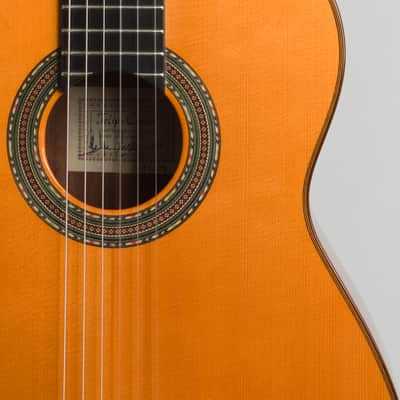 Felipe Conde FC28 Classical Guitar (2019), black hard shell case. image 15