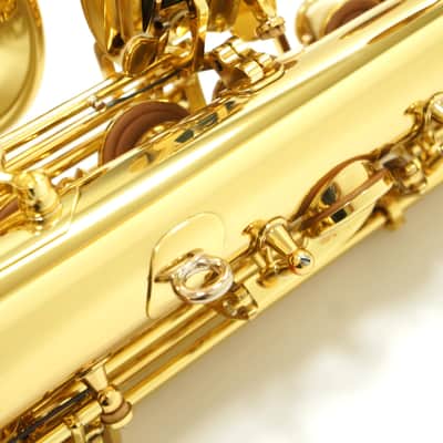 【Special price】 Yanagisawa A-WO10 [AW010] Professional Alto Saxophone image 12