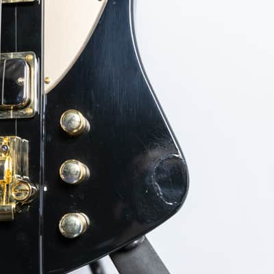 Epiphone Rex Brown Thunderbird Bass, Ebony | Demo image 12