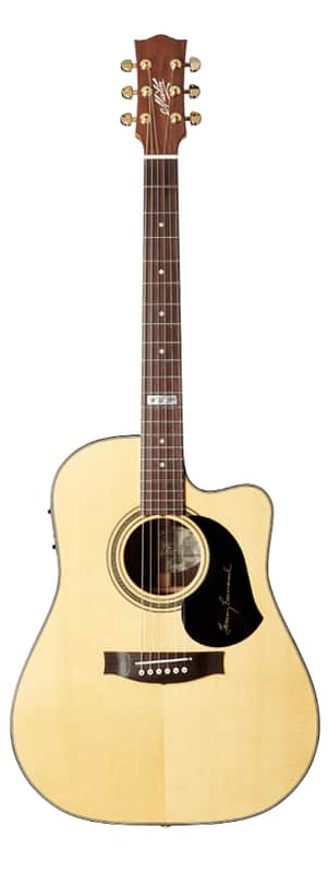 Maton TE1 Acoustic Guitar image 1