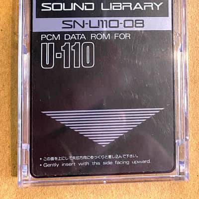 Roland SN-U110-08 Synthesizer