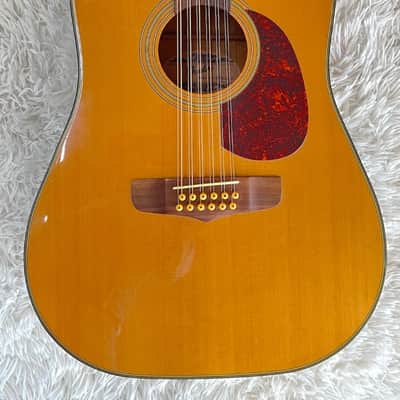 Fender Santa Maria, 12 string Acoustic Dreadnought Size Guitar w/ hardshell Case image 1